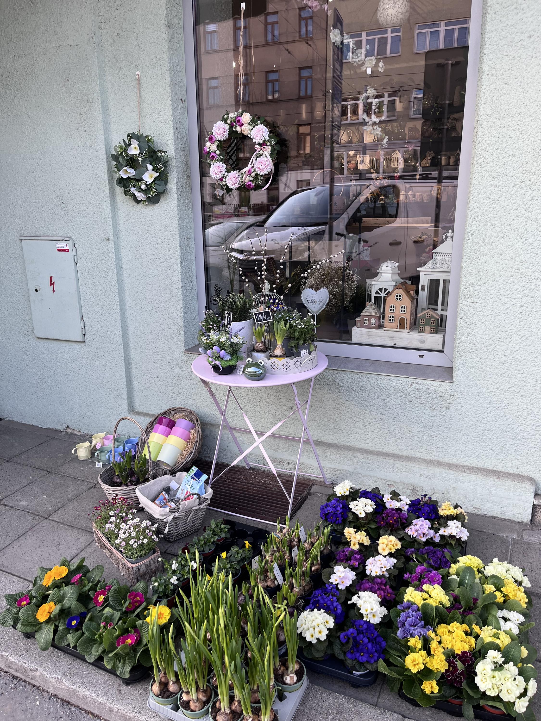 Květinářství Flora Agnese foto 3