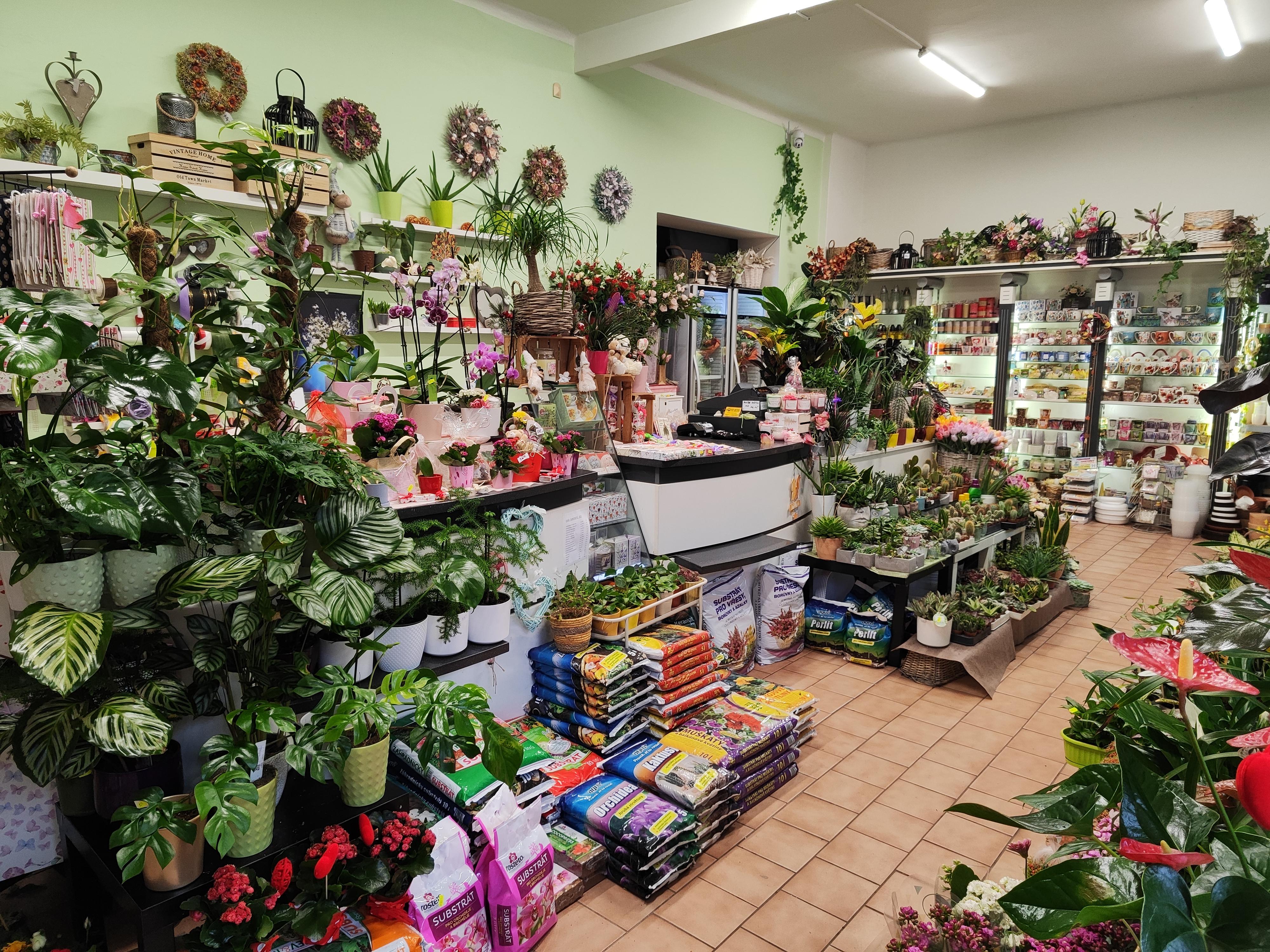 KVĚTINY ALBRECHTOVÁ foto 2