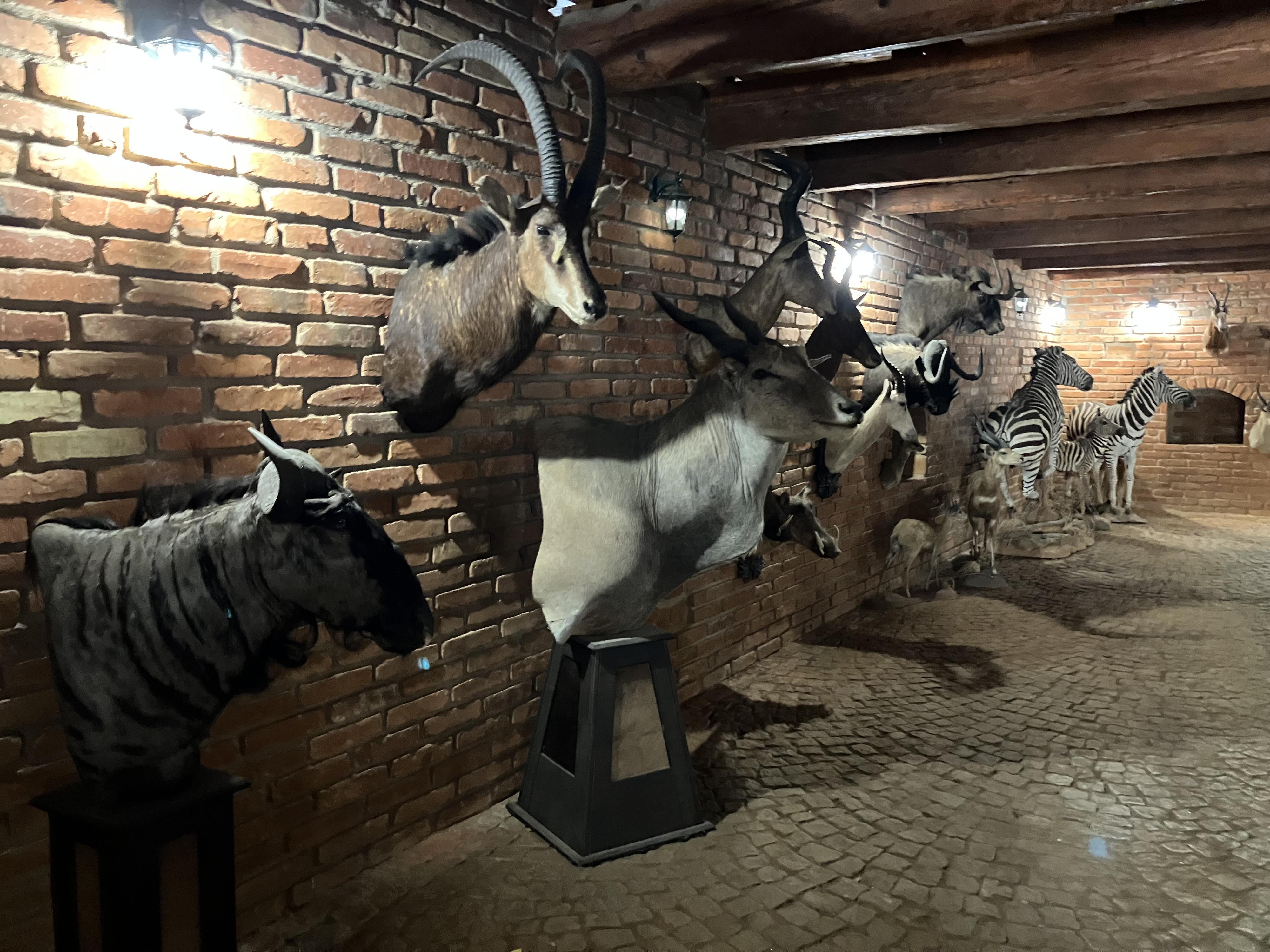 Rodinný zábavní park Bylandia foto 4