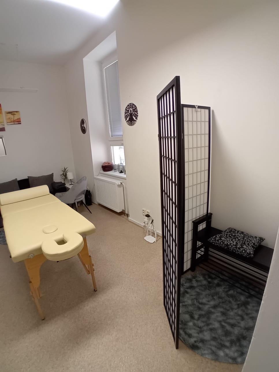 Masáže Jan Zikmunda foto 3