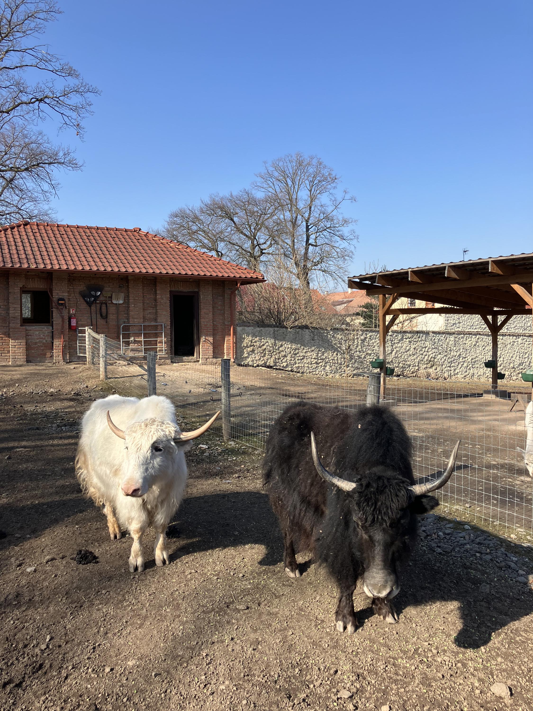 Rodinný zábavní park Bylandia foto 5