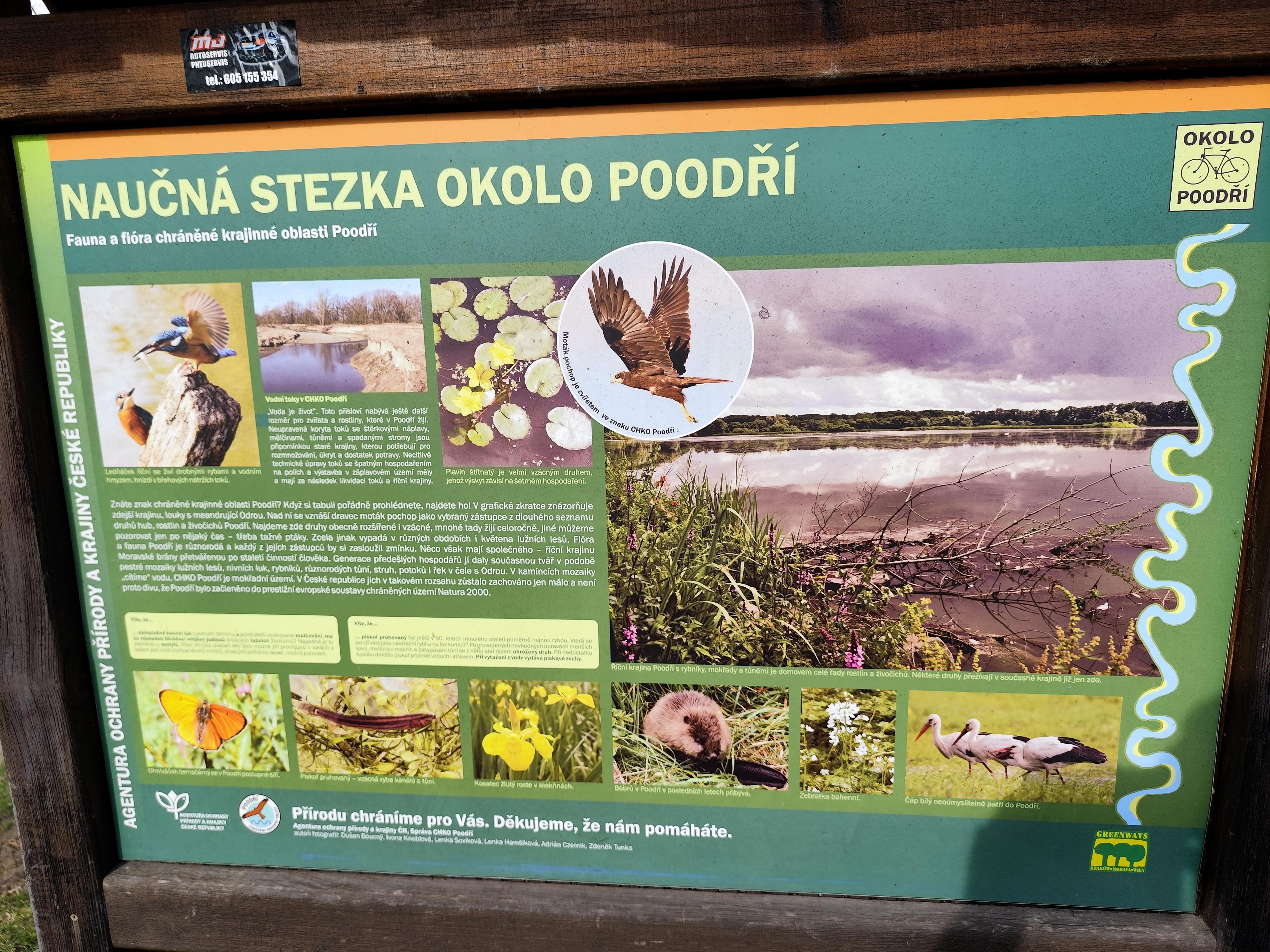 Restaurace Odra foto 4