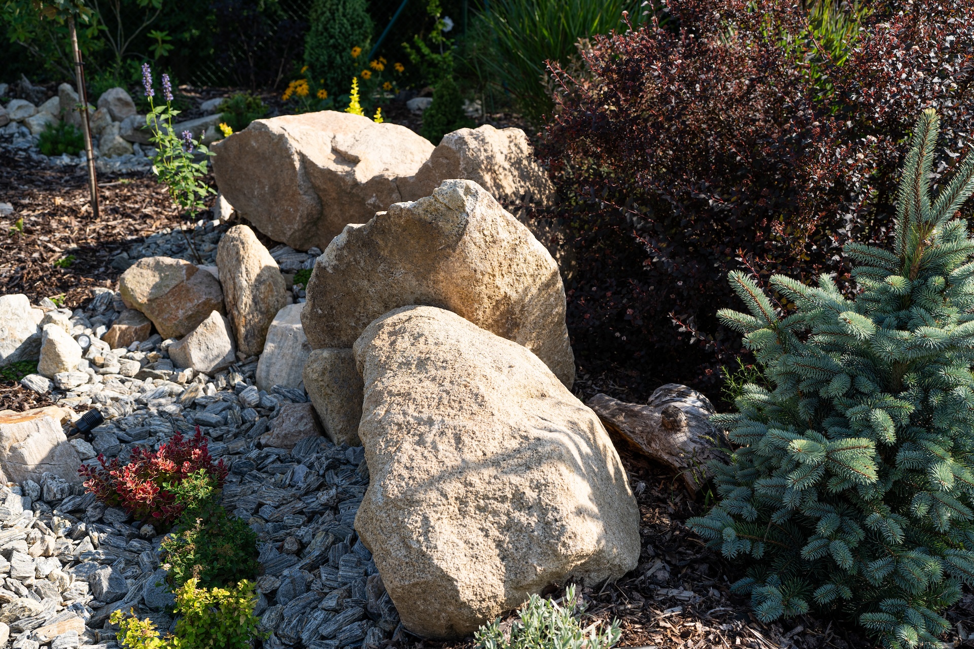 Koťátko s.r.o. foto 2