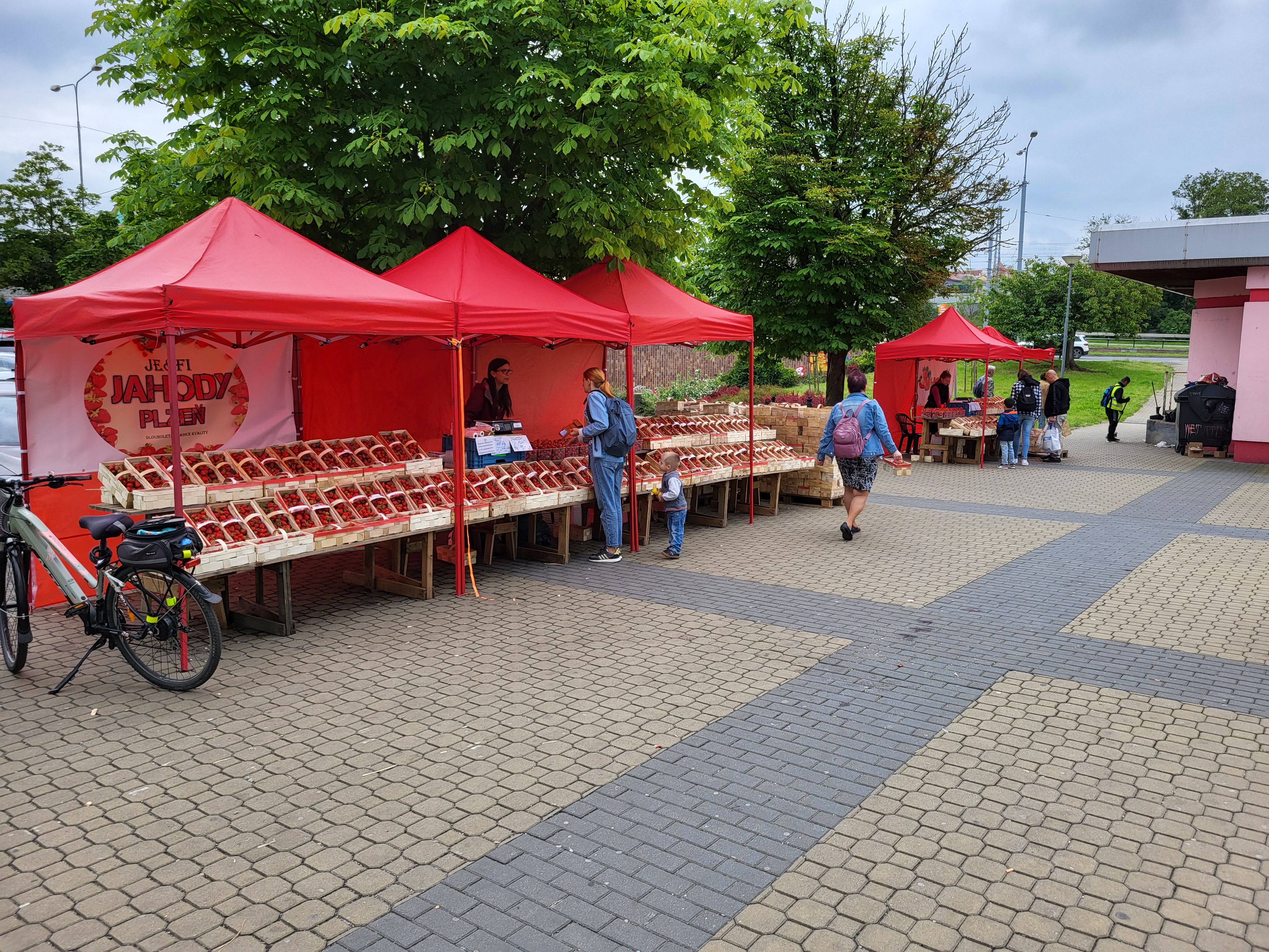 Jahody Plzeň foto 2