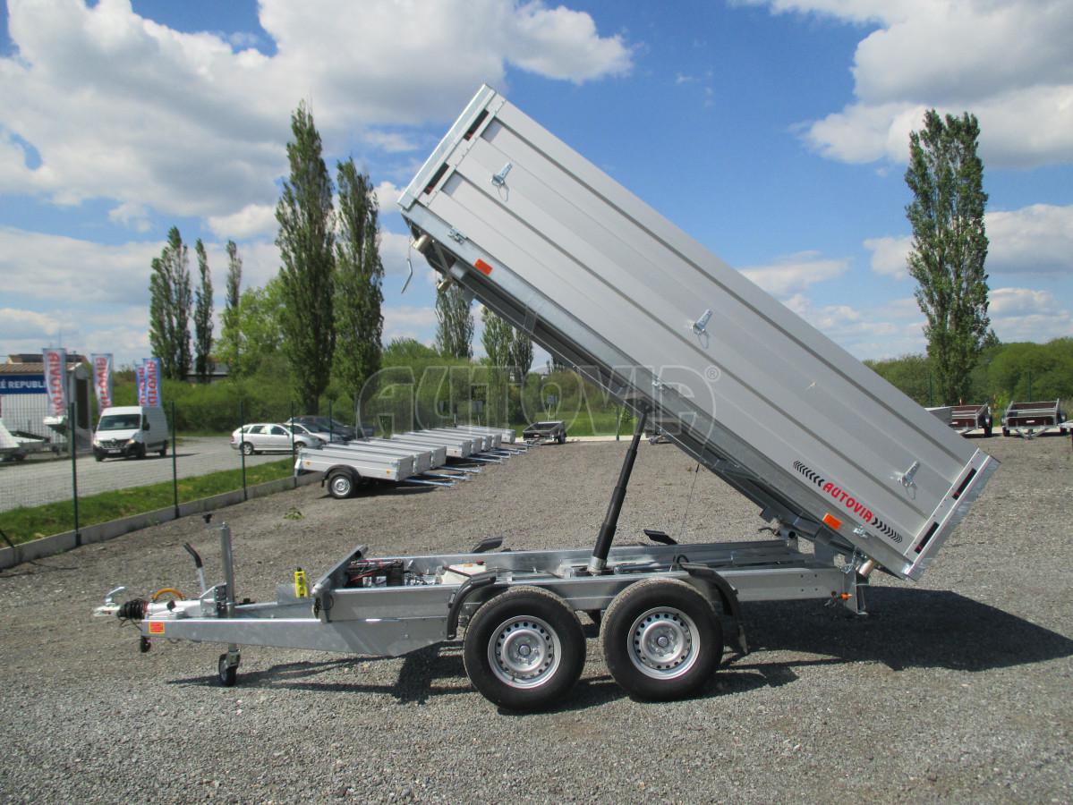 Bronislav Říčka - Rizikové kácení, údržba zeleně foto 6