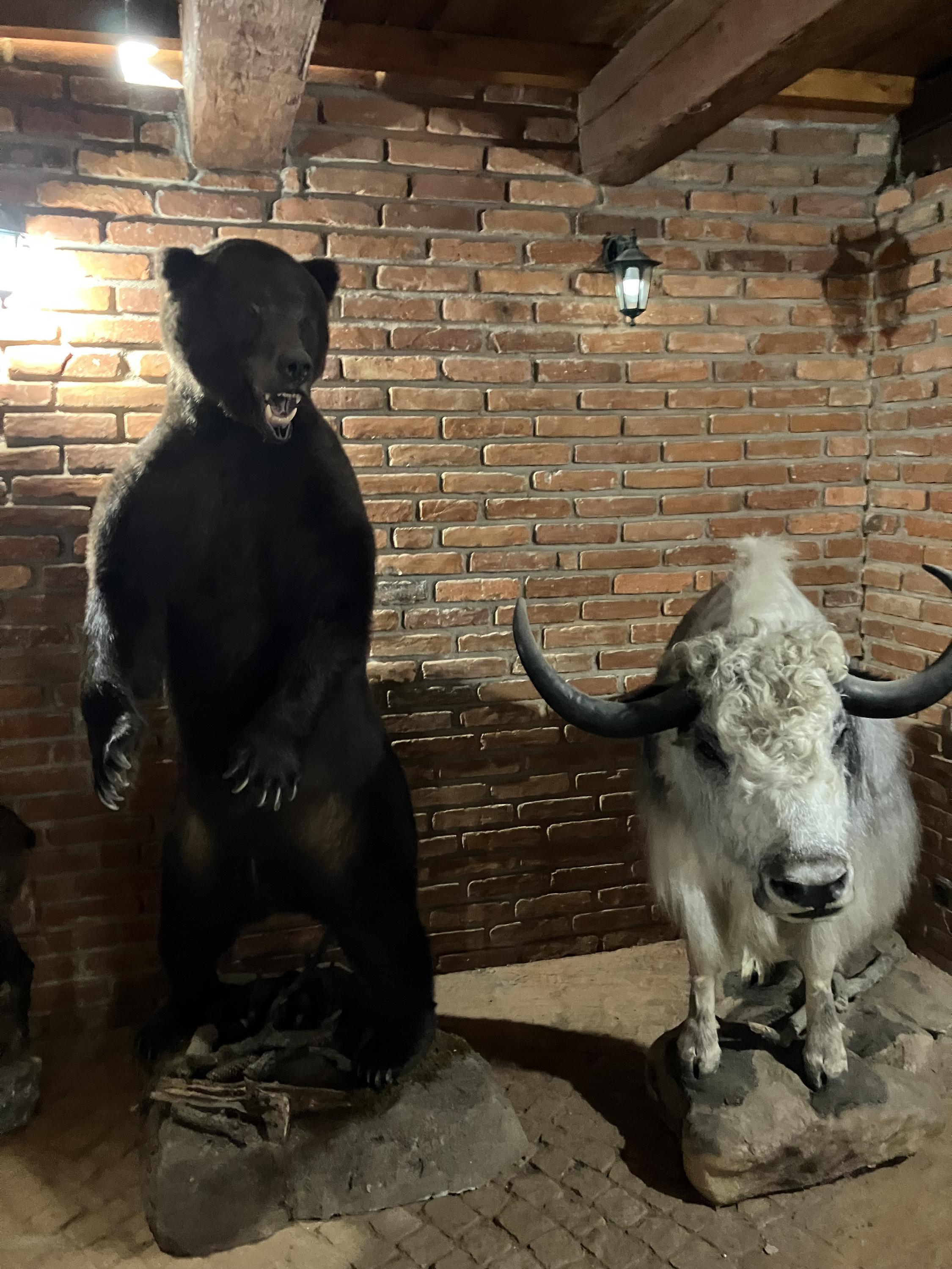 Rodinný zábavní park Bylandia foto 3