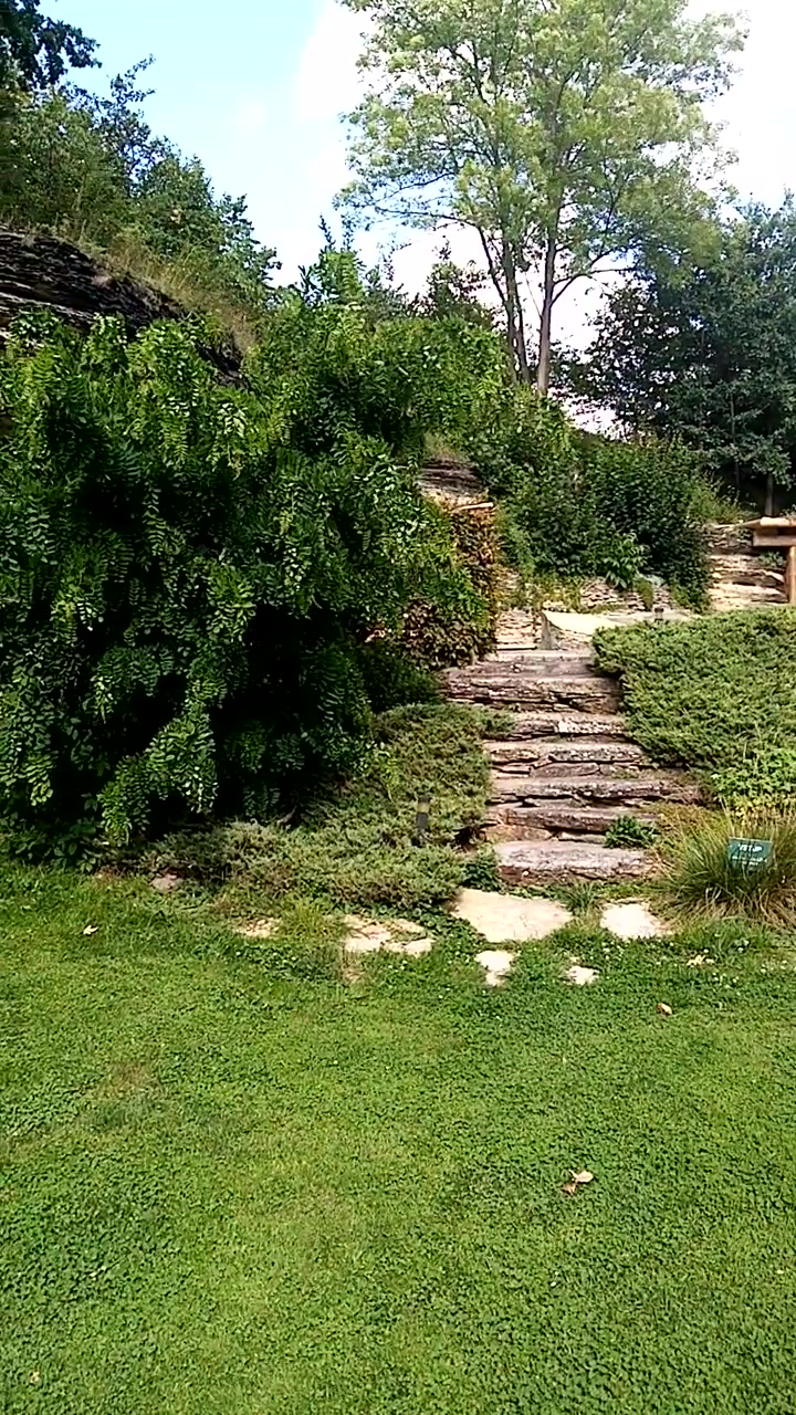 Ubytování Doly 427 foto 2 (náhled videa)