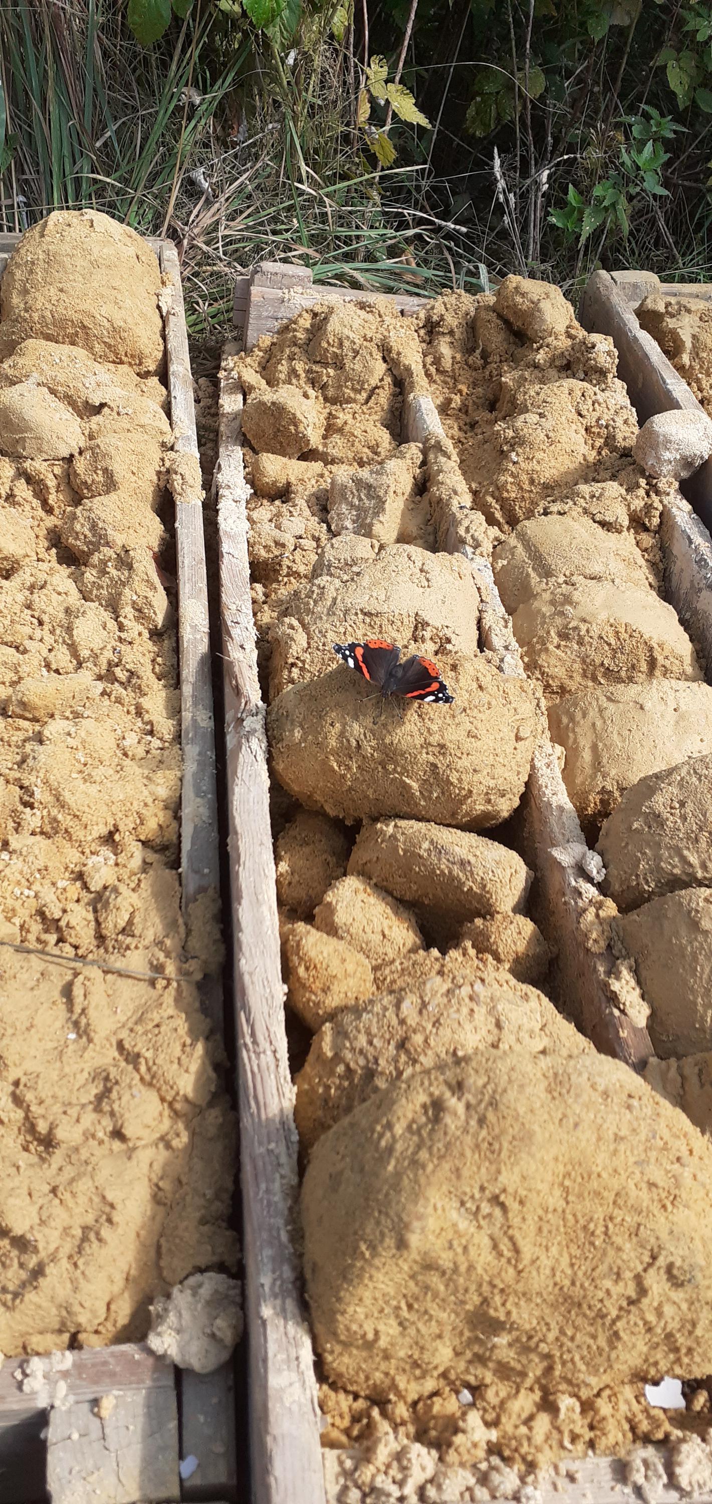 Geologické služby Mgr. Michal Mráček foto 4