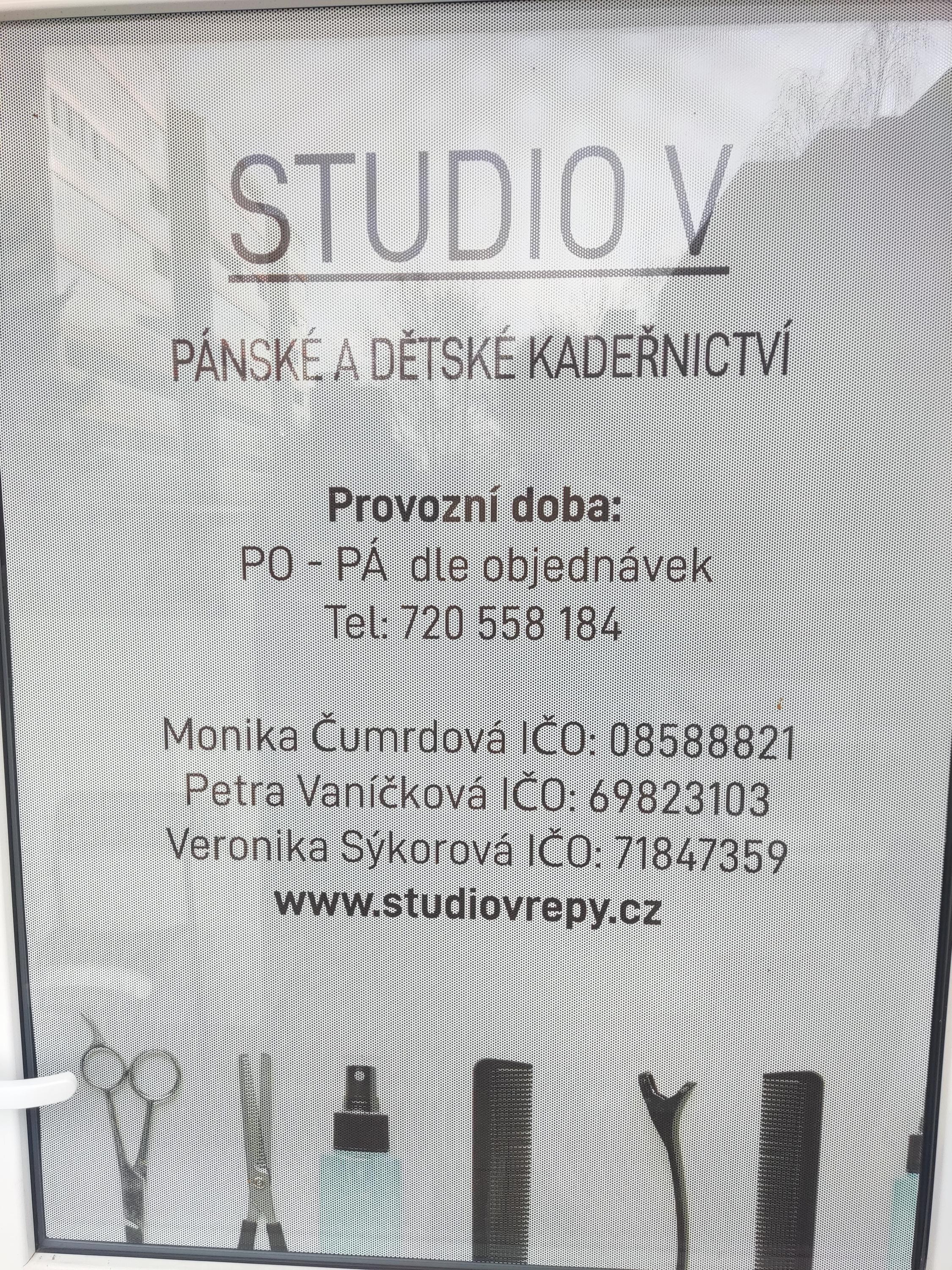 Studio V foto 2