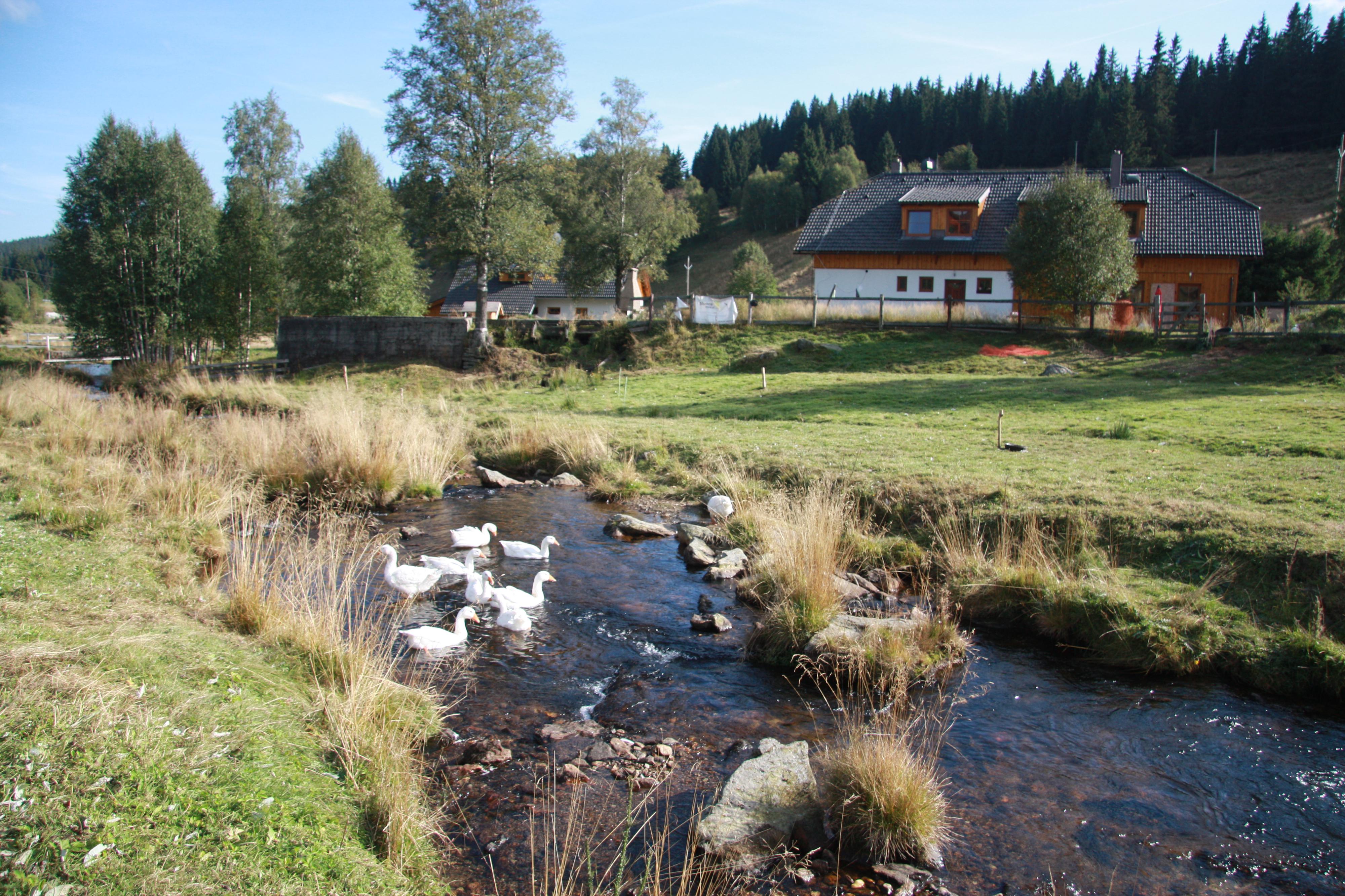 Ubytování U hamru foto 5