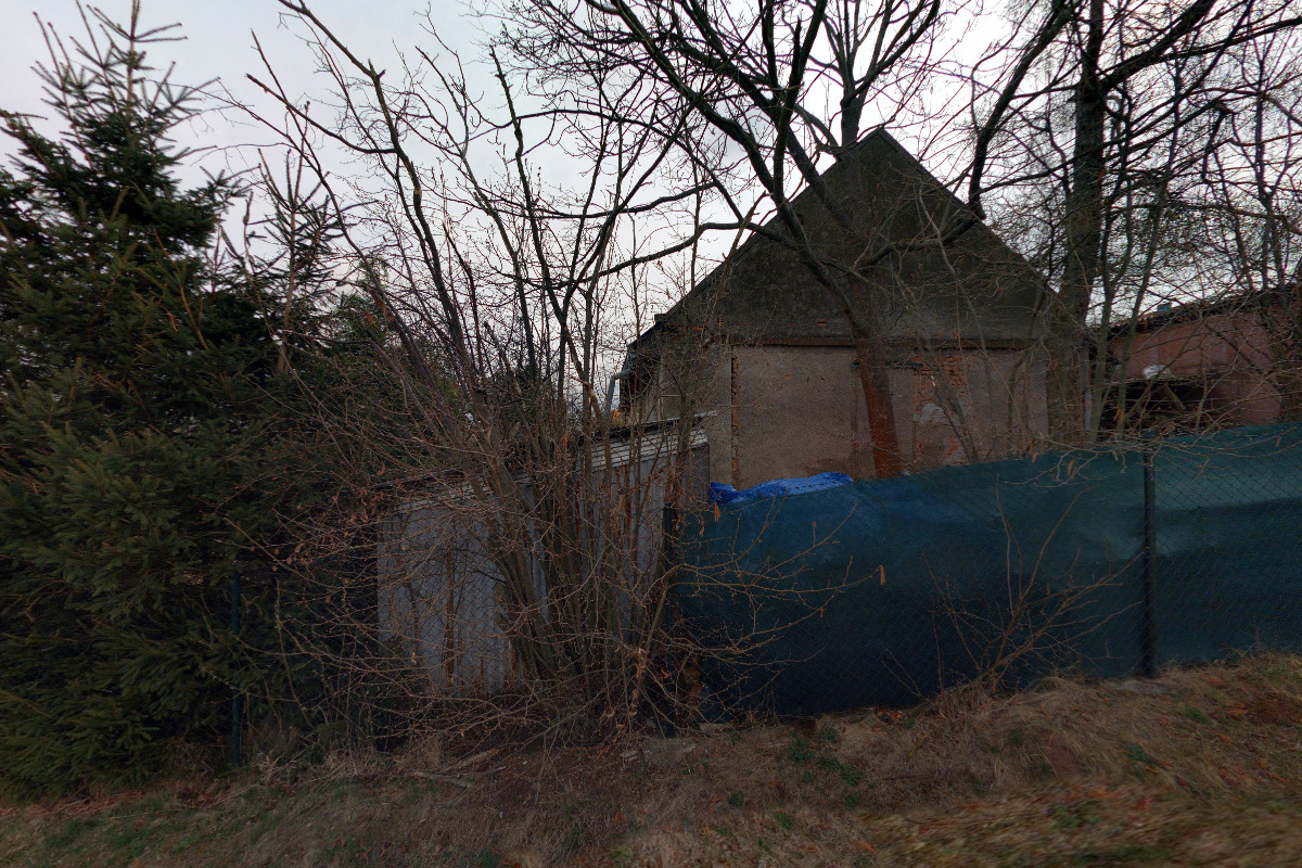 Stříhání psů Ing. Jana Knoblochová foto 2