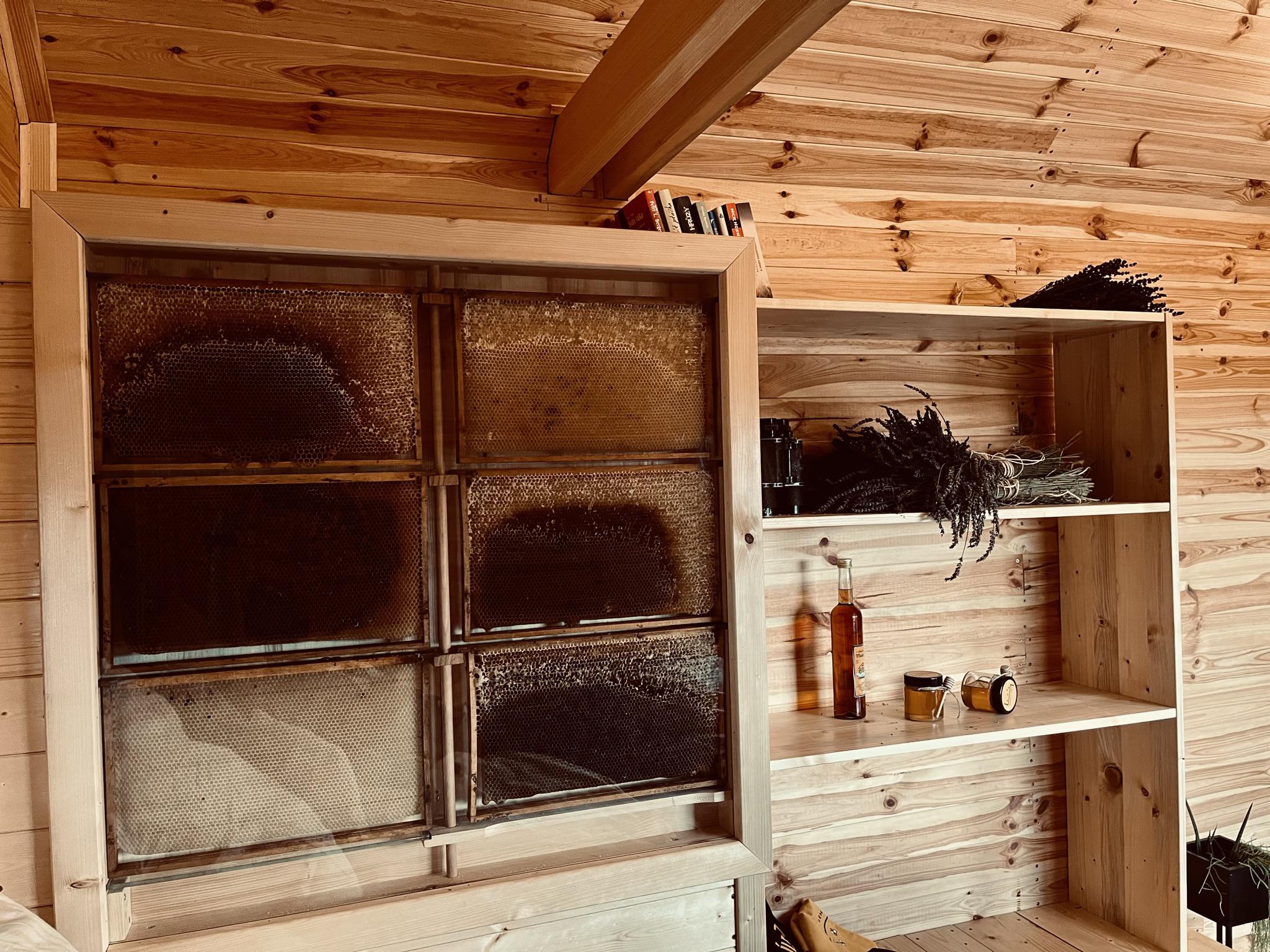 Včelí leháro foto 4