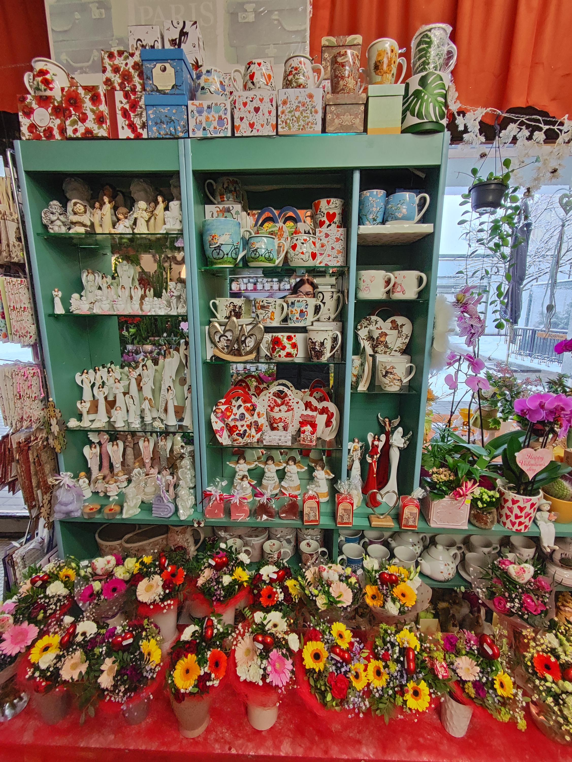 KVĚTINY ALBRECHTOVÁ foto 3