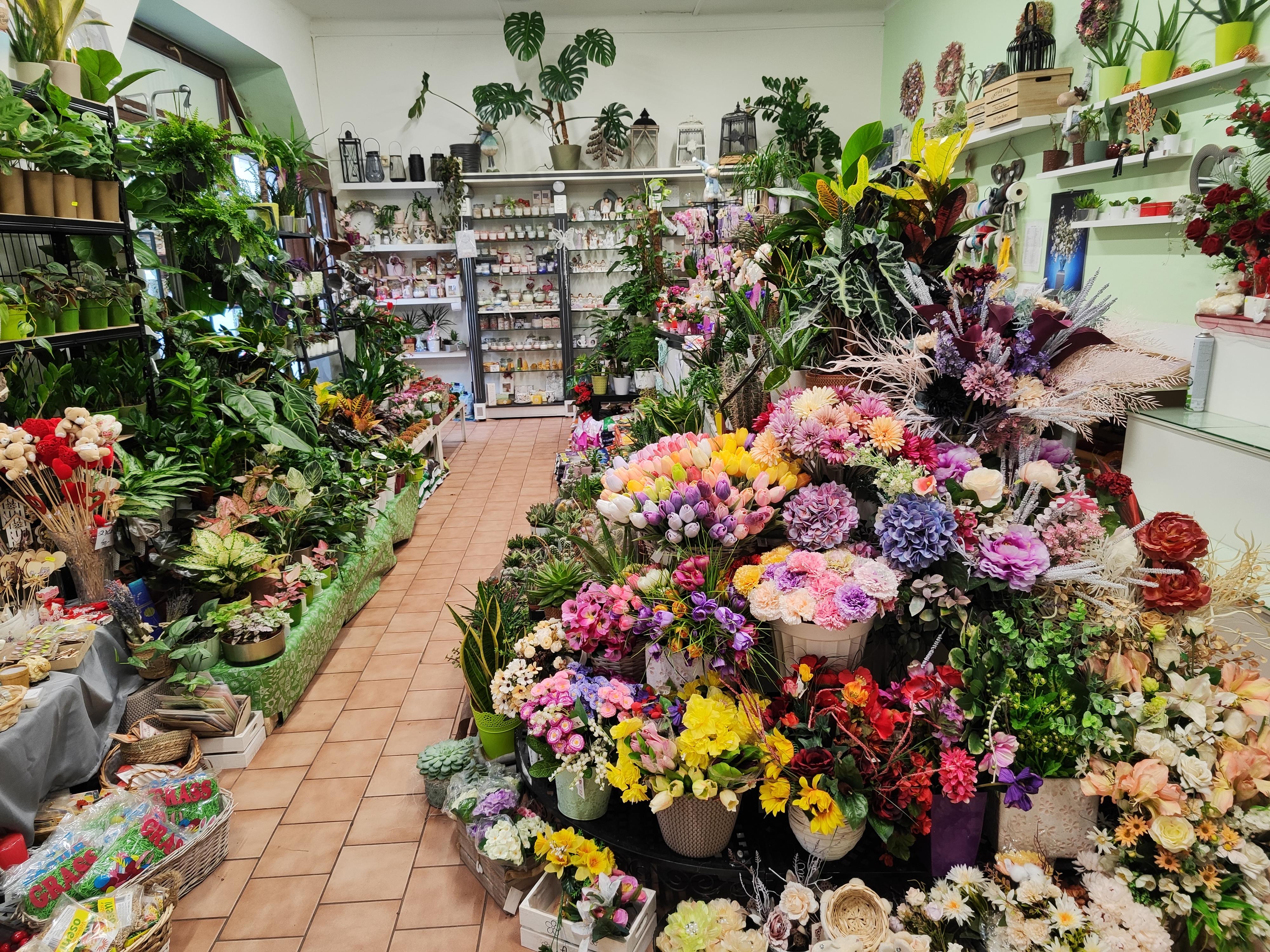 KVĚTINY ALBRECHTOVÁ foto 3