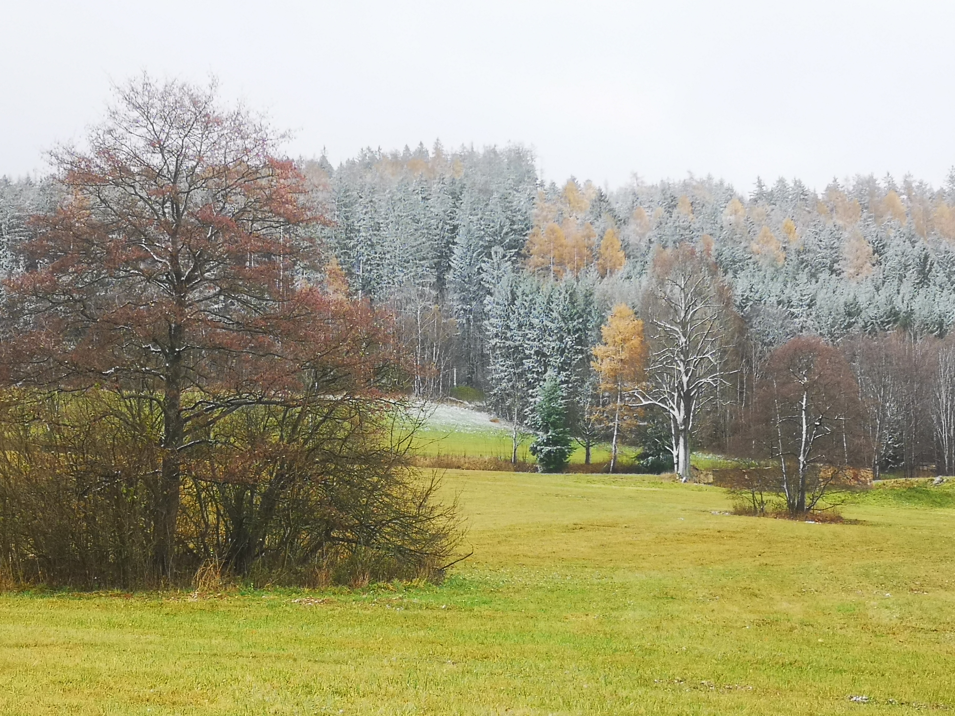 Apartmán - na kole, pěšky, na lyžích foto 6