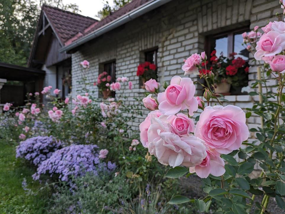 Prvorepubliková zahrada