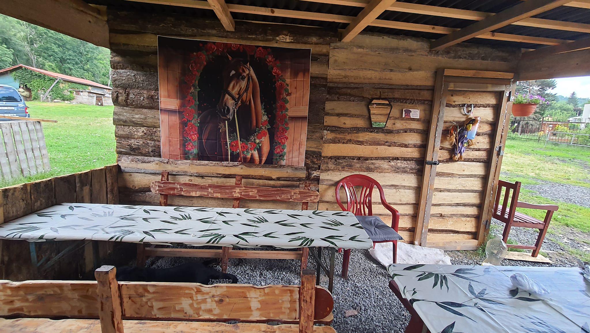 Koně pod hradem Střekovem foto 5