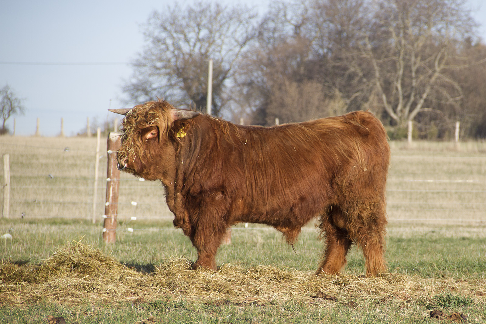 Farma Habřina foto 4