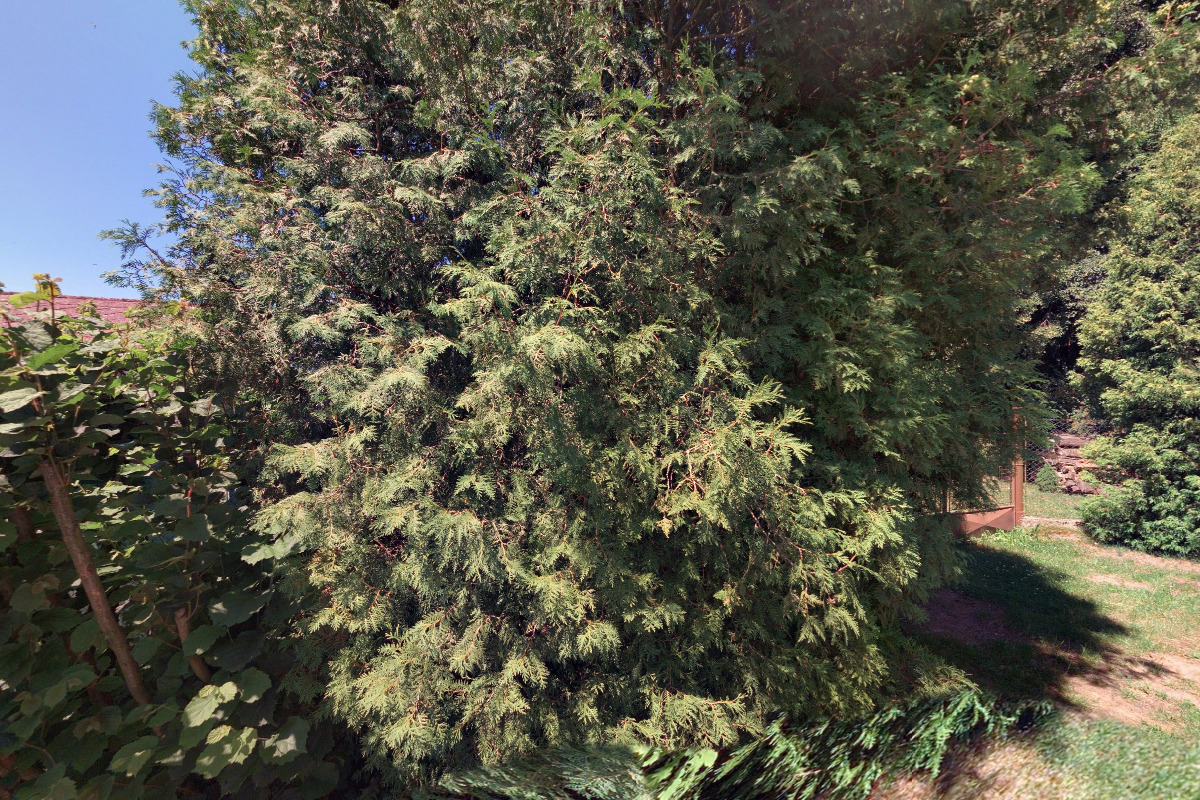 Chatička na Hutích