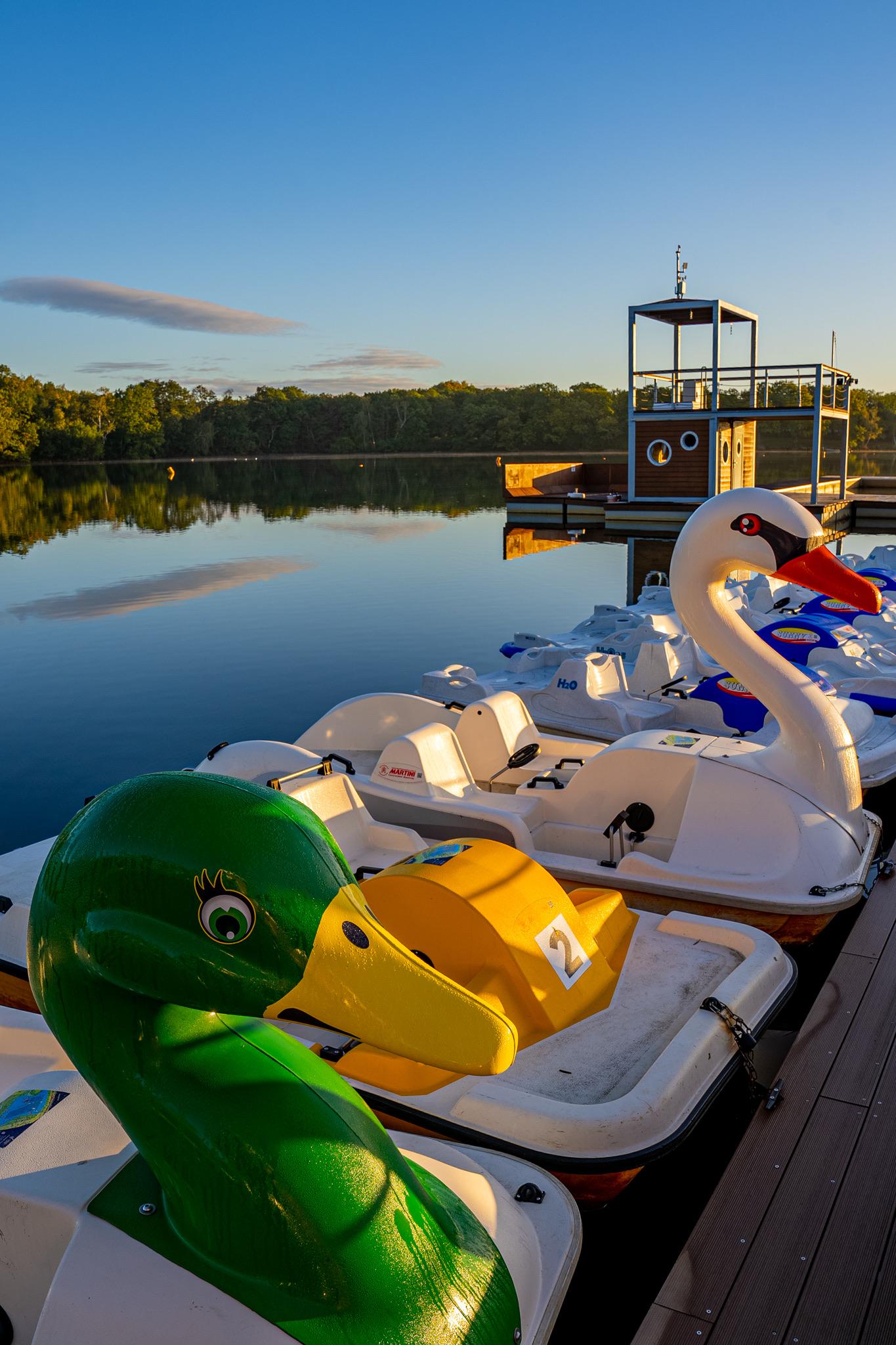 Půjčovna lodiček Kamencové jezero foto 4