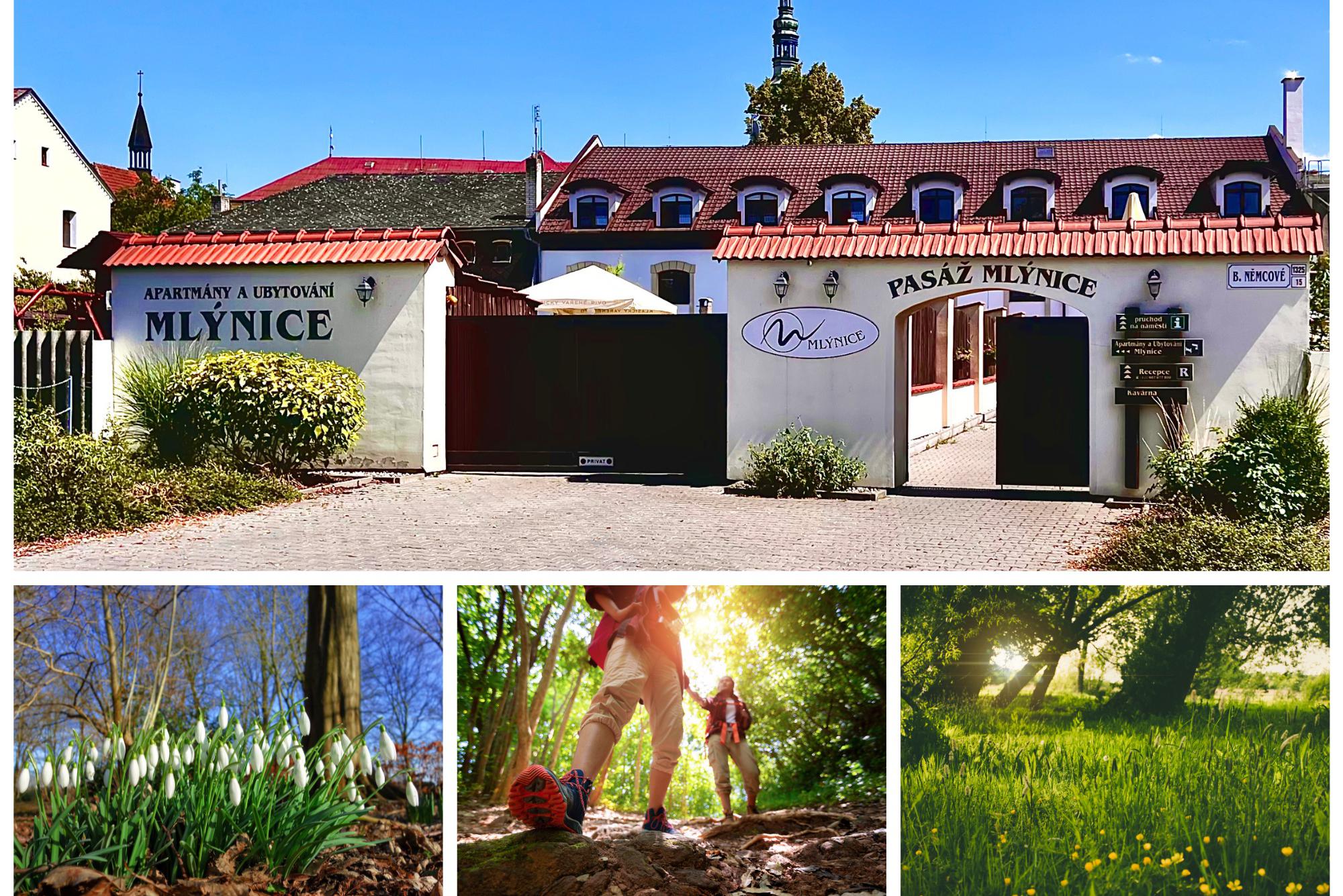 Hola, hola, jaro volá!