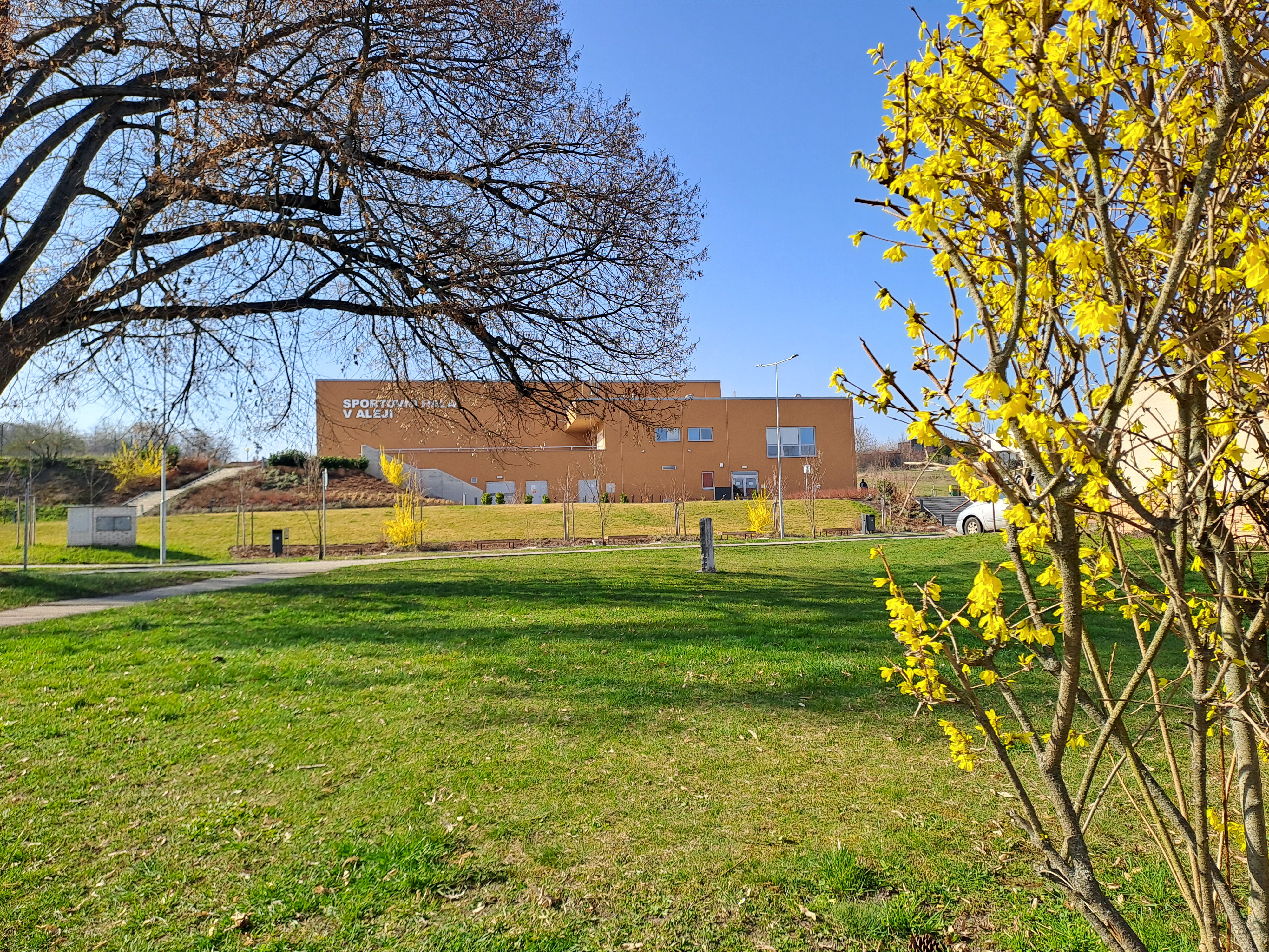 Sportovní hala V Aleji foto 6