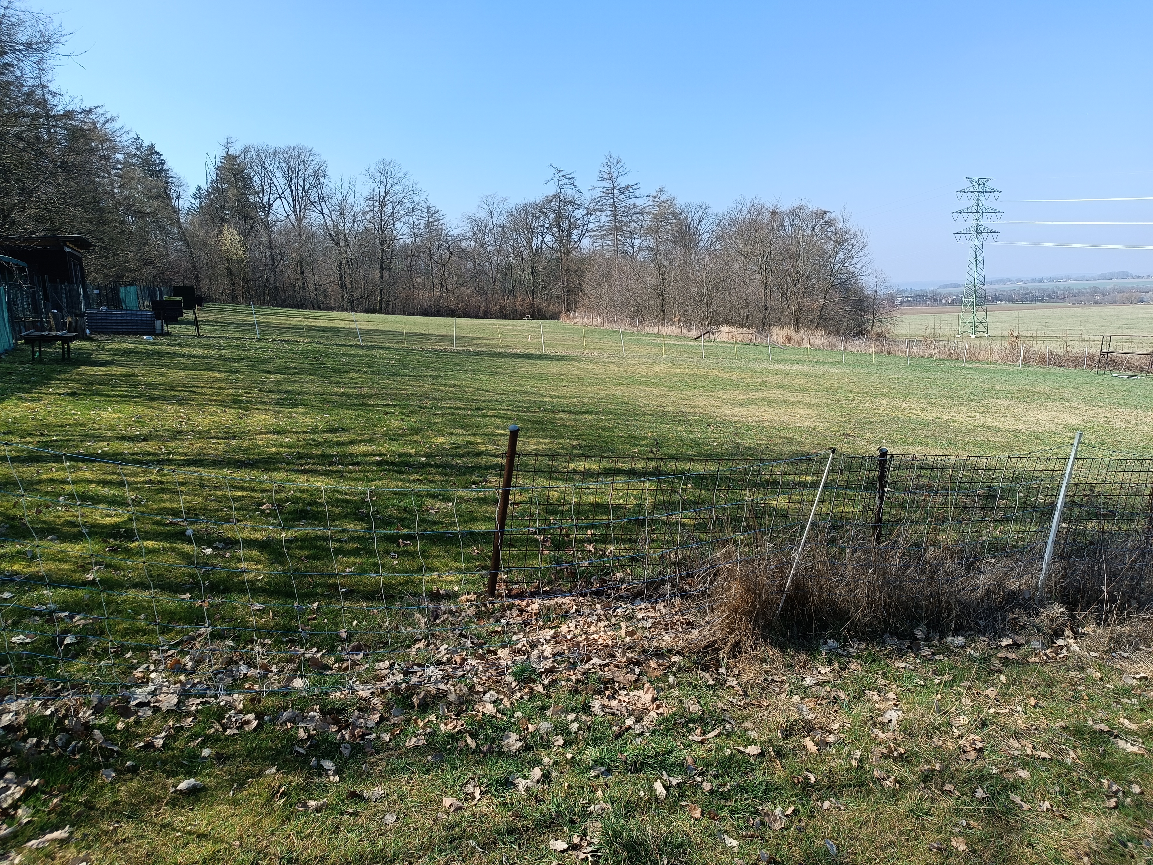 Český kynologický svaz, ZO - 282 foto 5