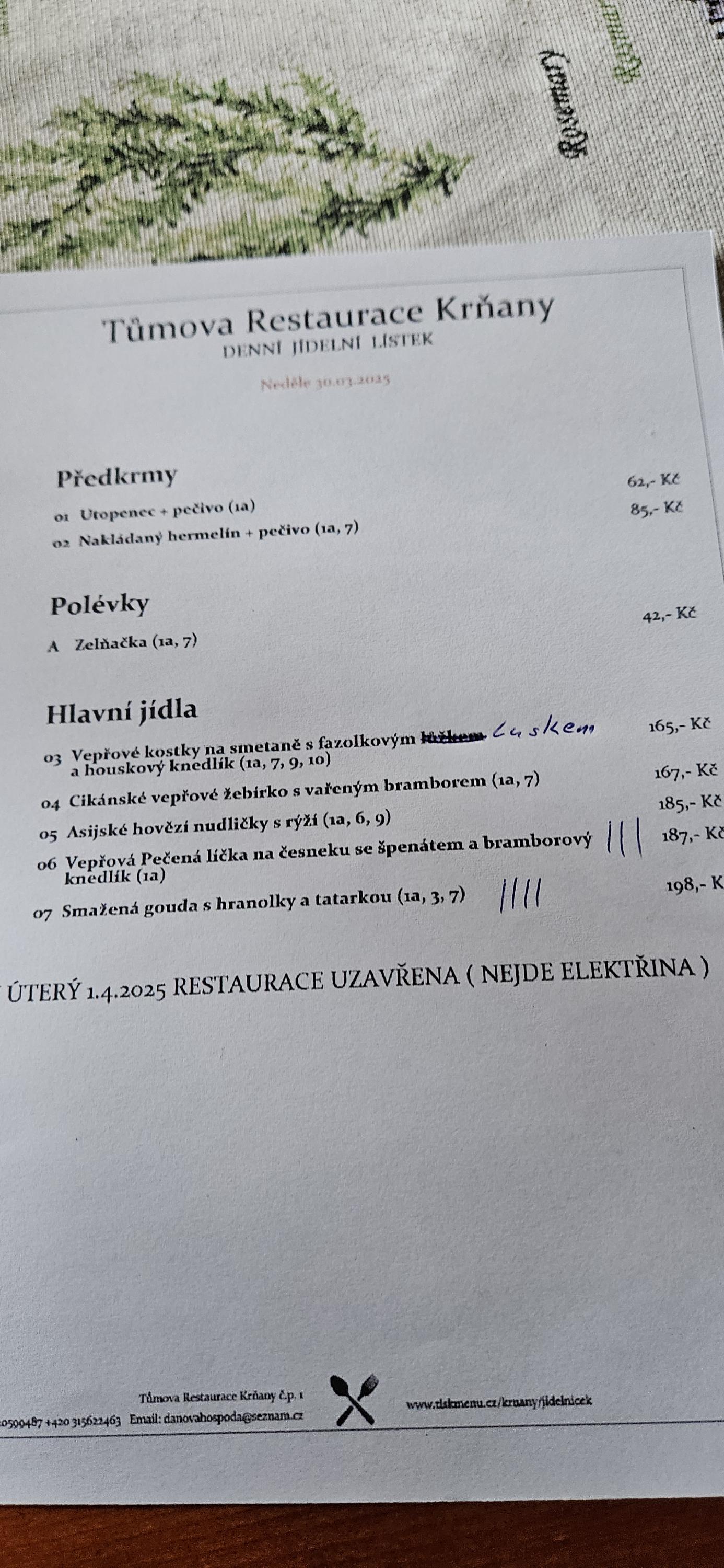 Tůmova Restaurace foto 4