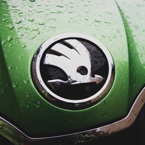 Autokluby Škoda