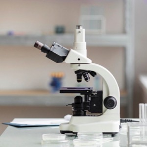 Producers of optical equipment