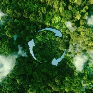 Environmental consulting