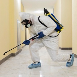 Dezinfekce, dezinsekce, deratizace