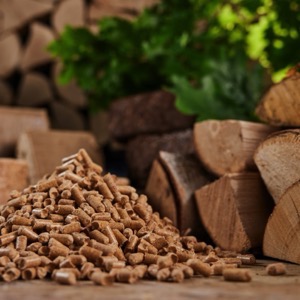 Online sellers of timber