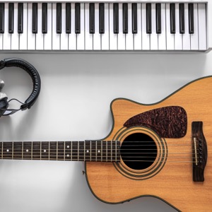 Wholesalers of musical instruments