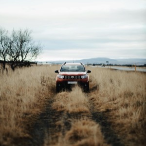 Sellers of automotive spare parts - Dacia