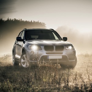 Sellers of imported used cars