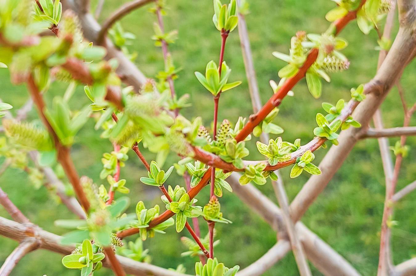 Zahrady podle OT, s.r.o.