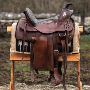 Horse tack and supplies