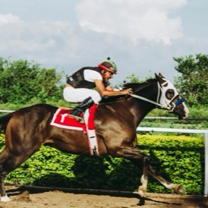 Dostihová závodiště