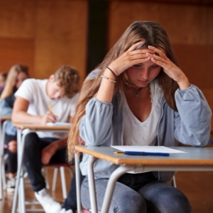 Upper secondary education with certificate (maturita)