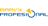 logo PROFES GROUP