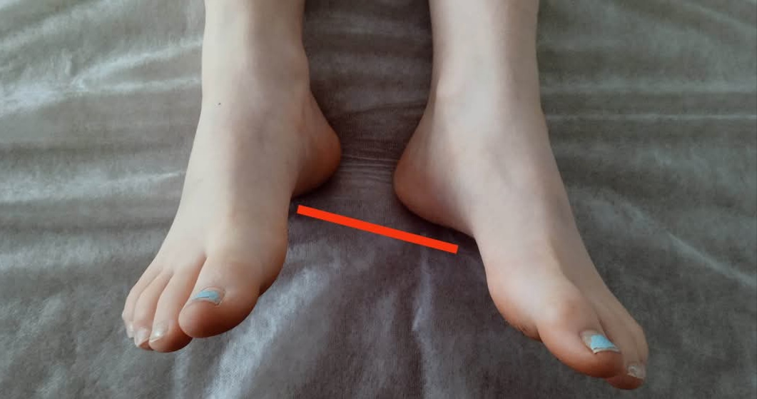Markéta Nacházelová - manuální terapeut pro lidi a zvířata foto 3