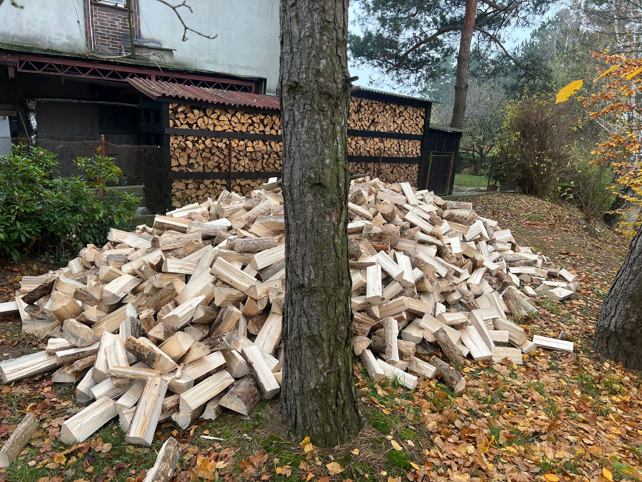 Dřevo Chotyně s.r.o. foto 3