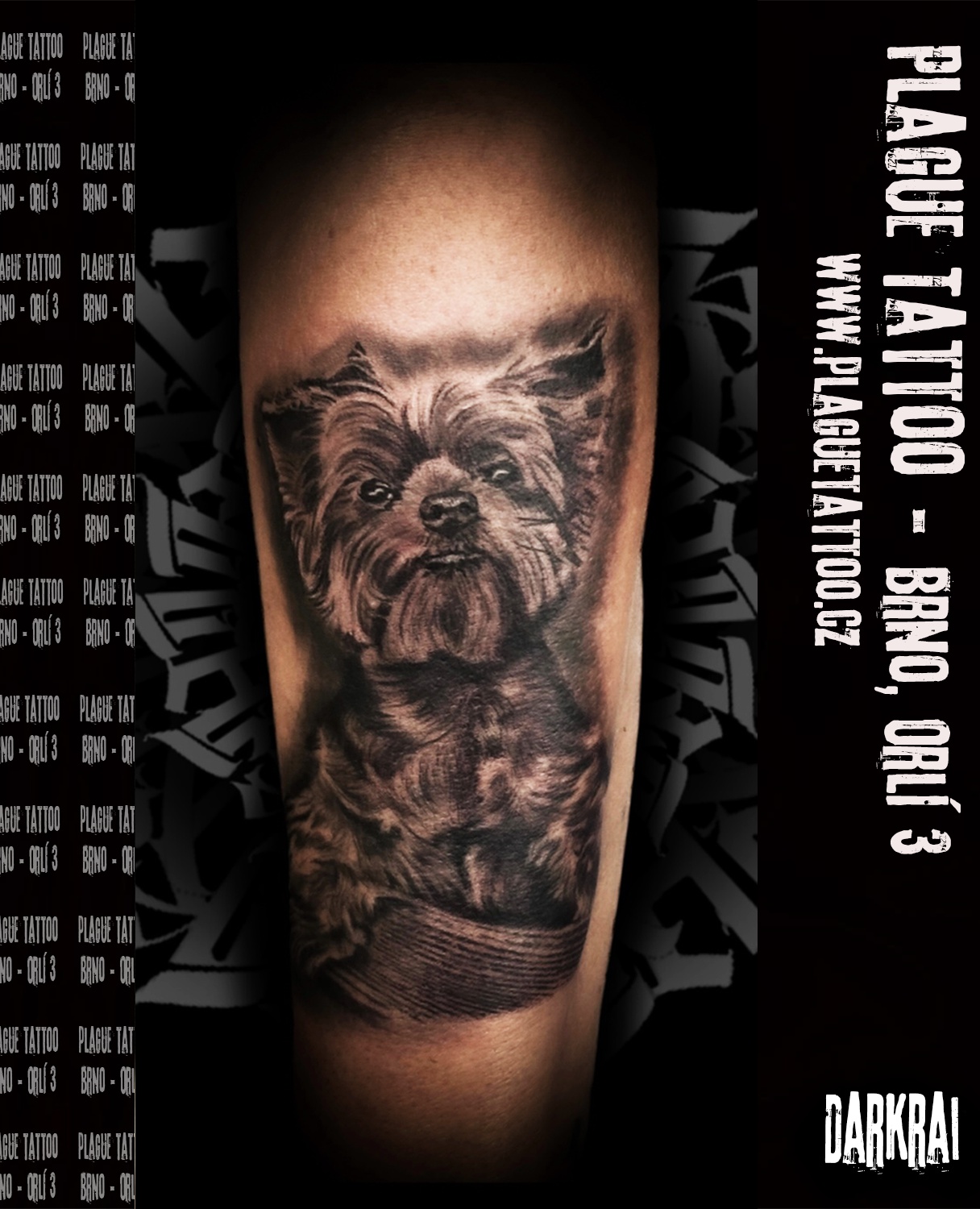 Plague Tattoo foto 2