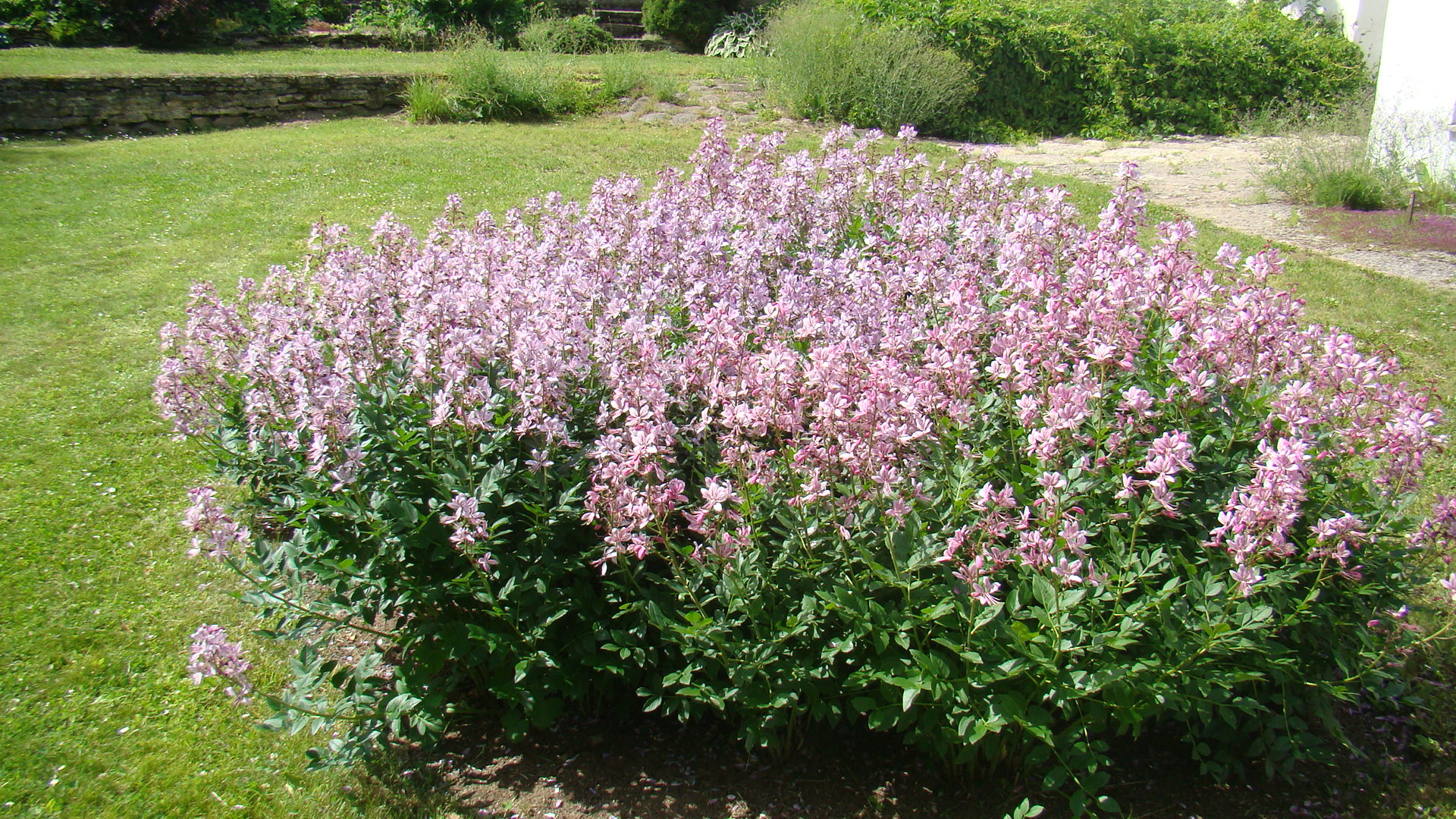Údržba zahrad Zdeněk Bečvář foto 4