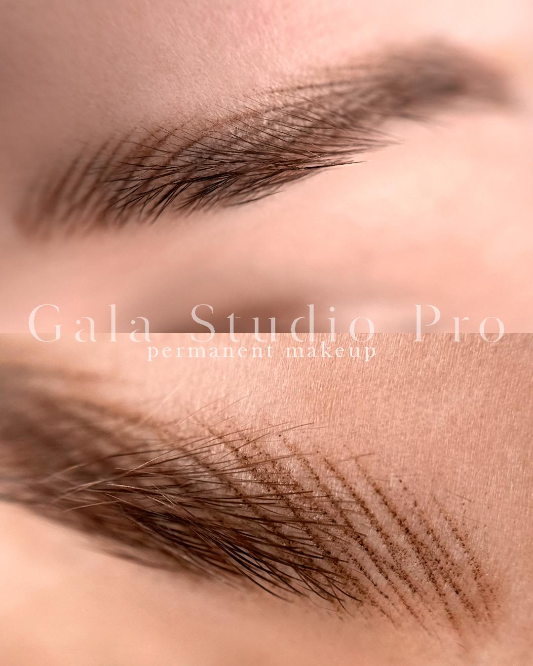 GalaStudio PRO - Profesionální permanentní make-up foto 5