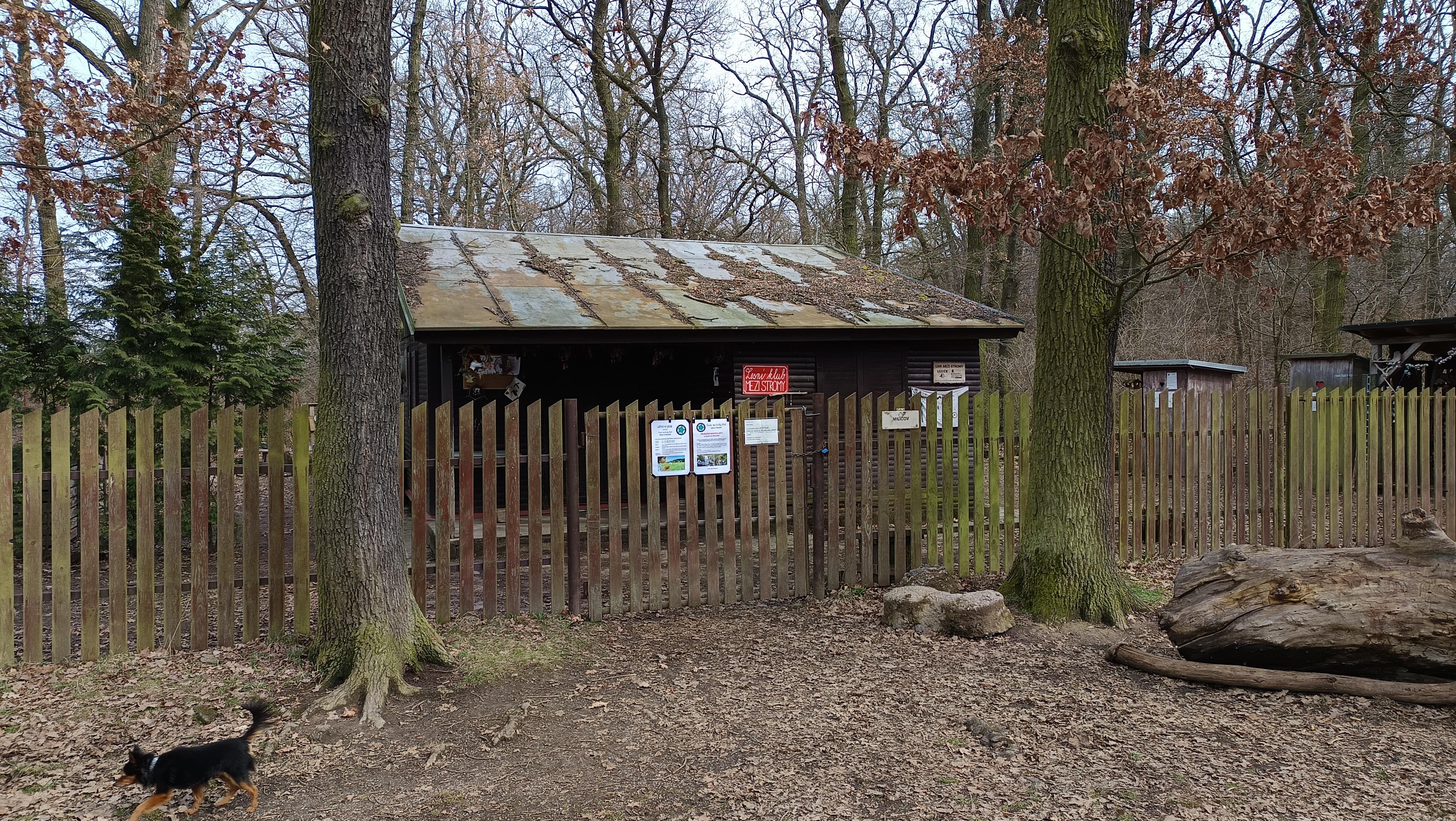 spolek zapsaný MEZI STROMY foto 6