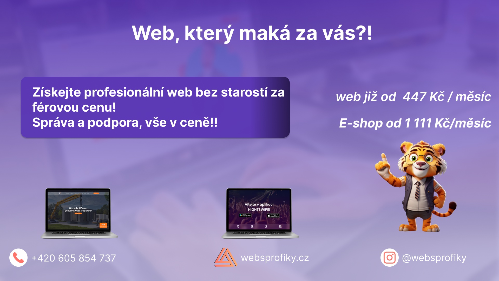 Websprofiky s.r.o. foto 3