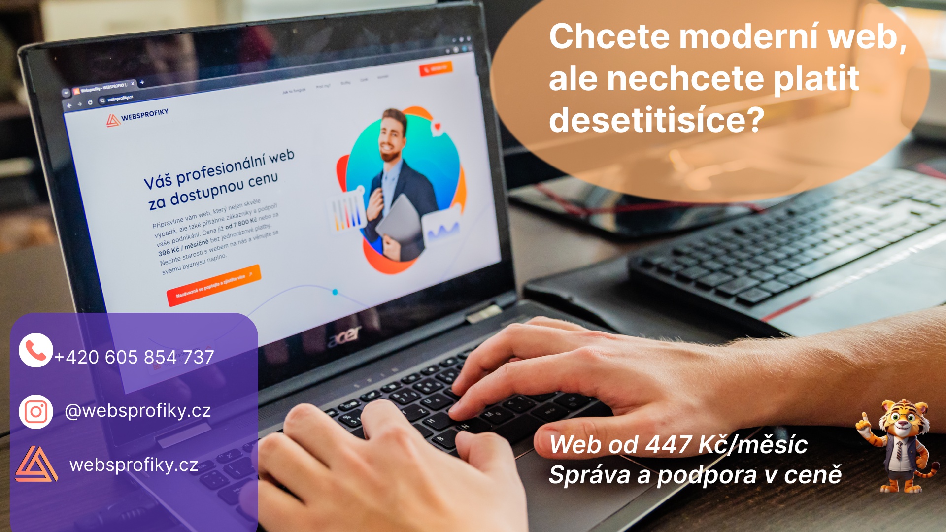 Websprofiky s.r.o. foto 5