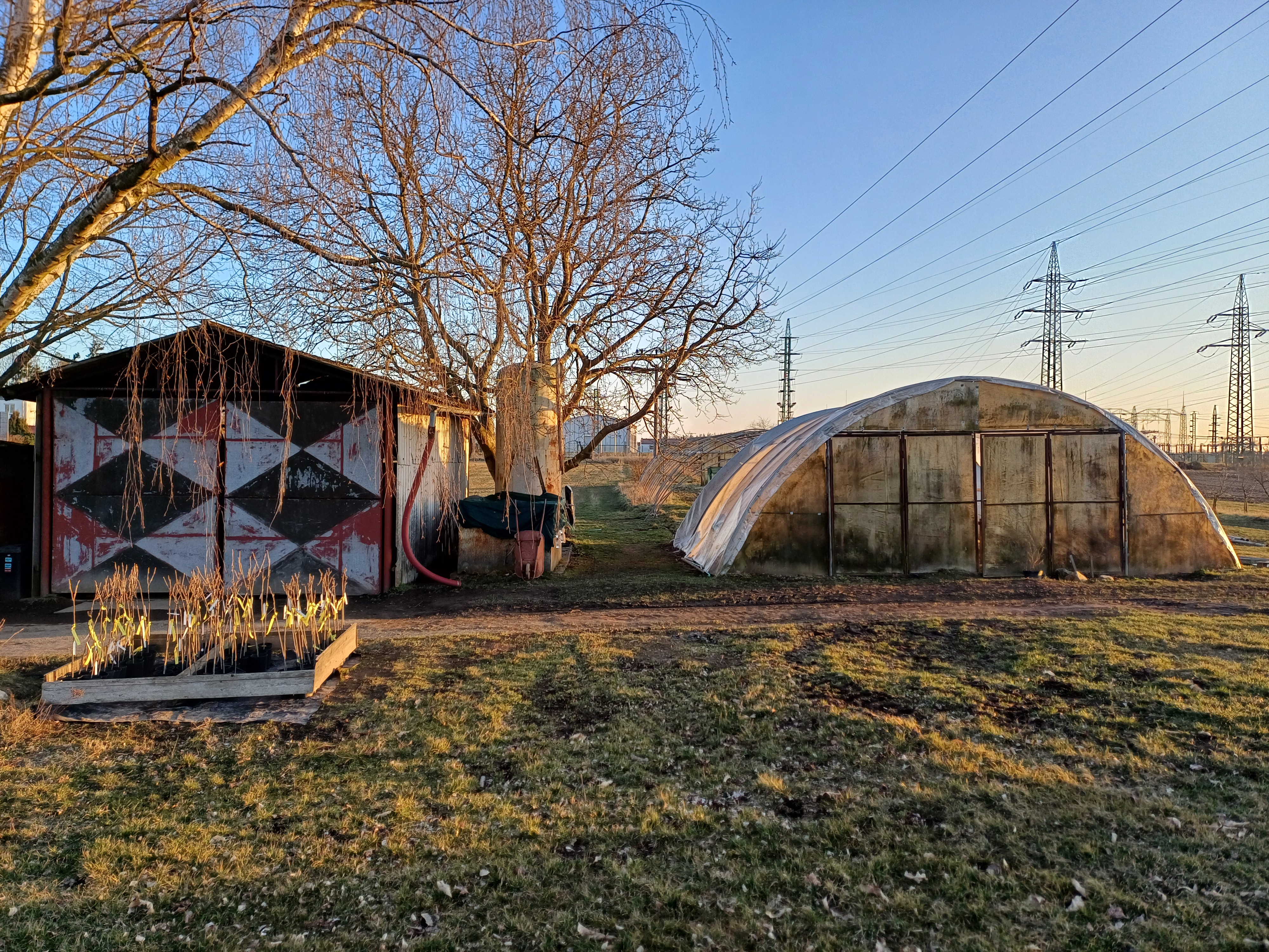 VOŠ a SZeŠ, Benešov - Ovocná školka foto 2